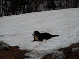 08. Ares je došao na svoje